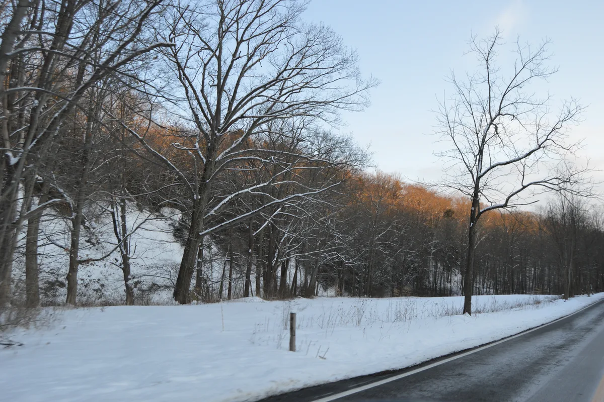 Bainbridge neighborhood